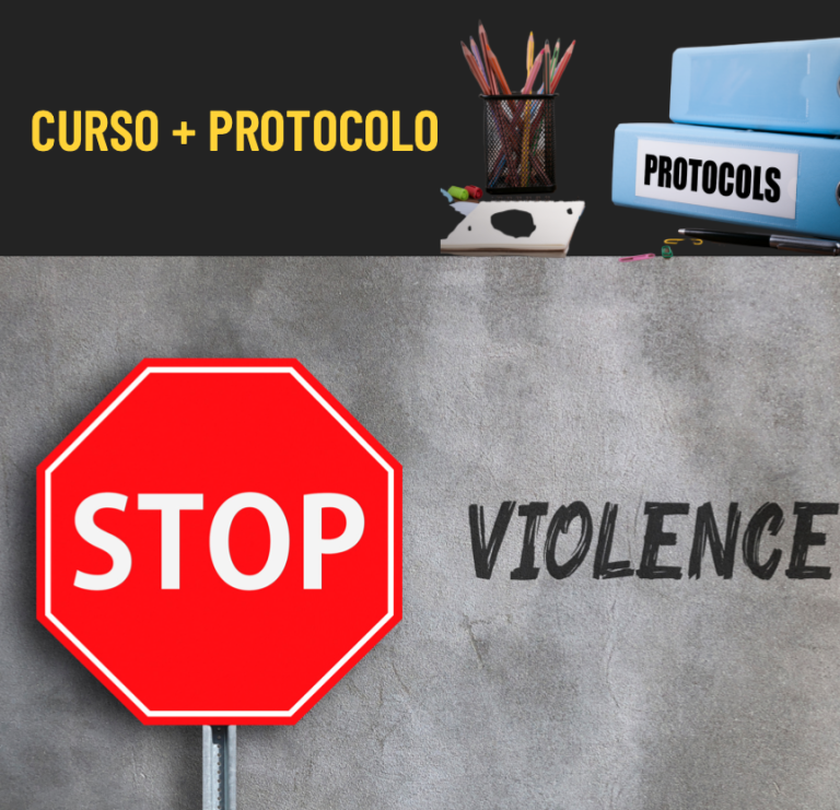 CURSO Y PROTOCOLO LEY VIOLENCIA INFANTIL